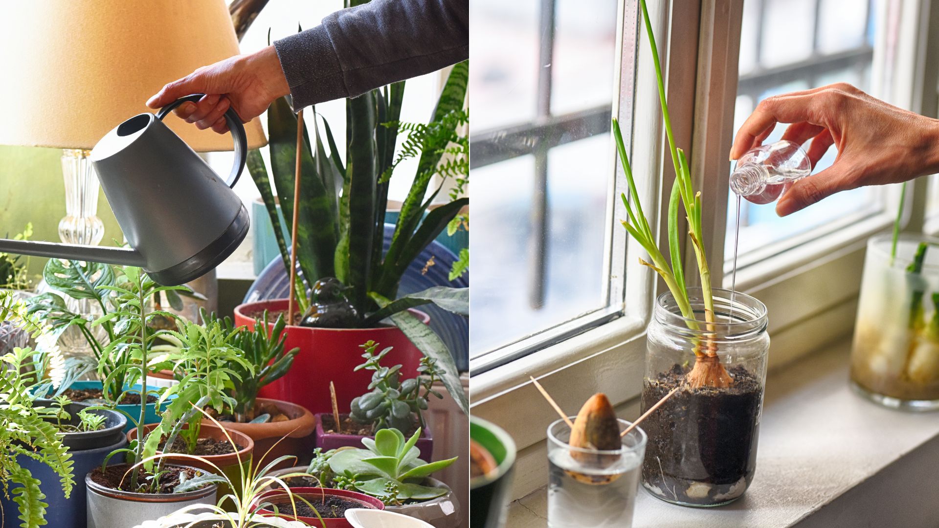 Become A Pro Indoor Garden With These 7 Tips