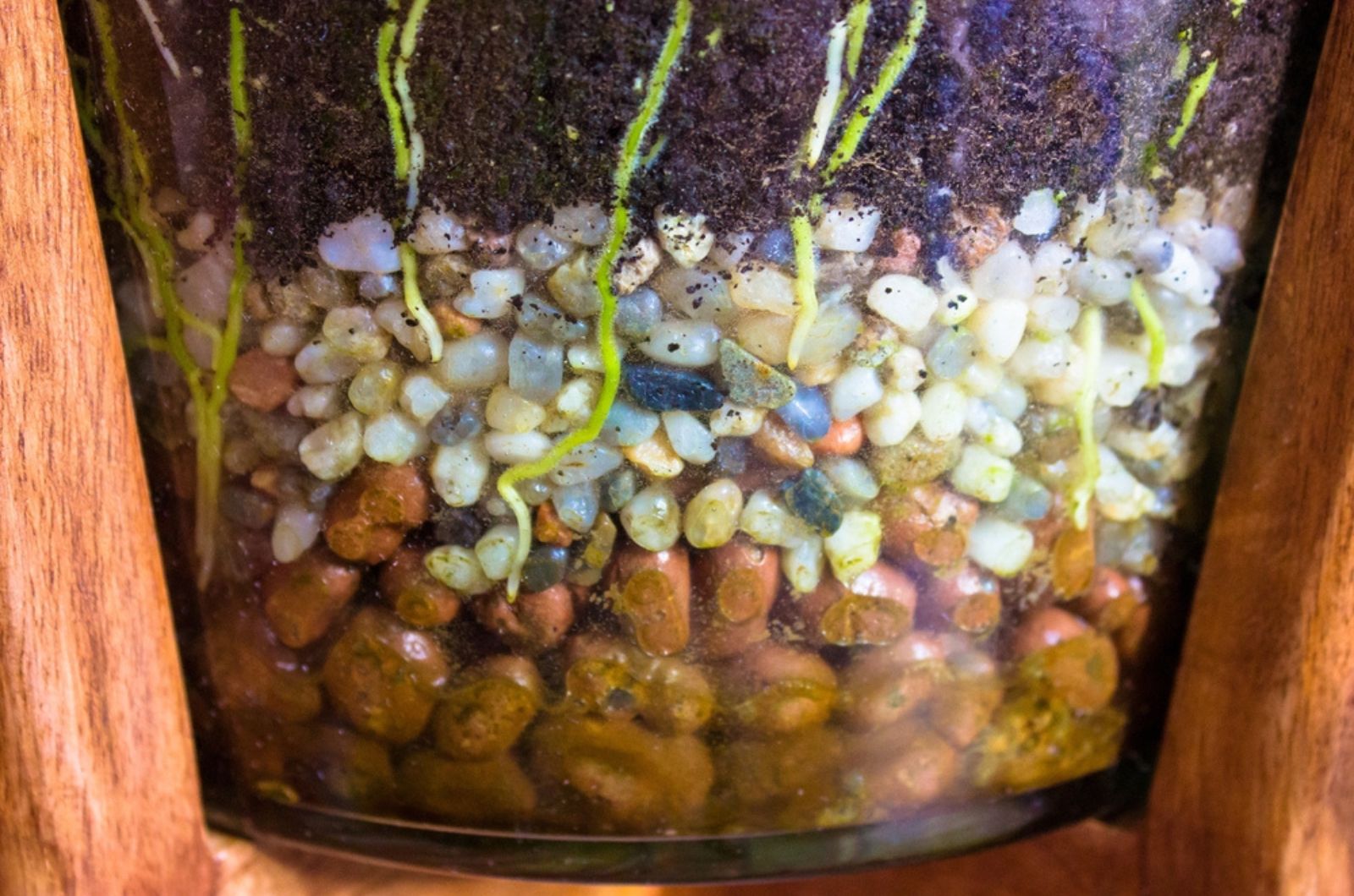 Fertile soil with small stones in a transparent vase