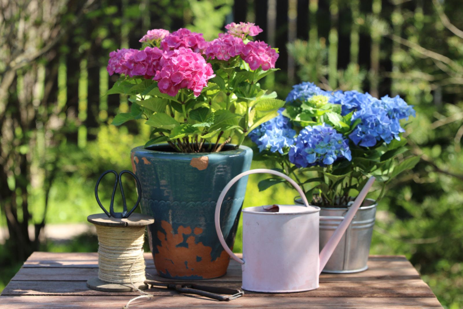 Garden scene with plant in vintage old ceramic pot