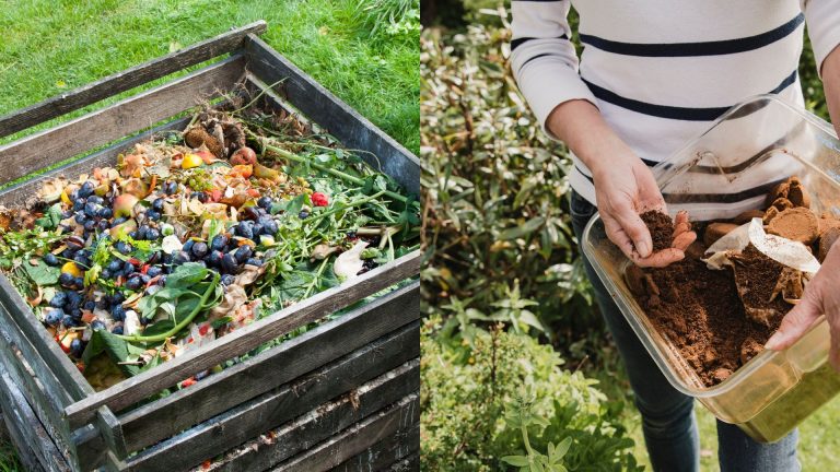girl with compost in her hands