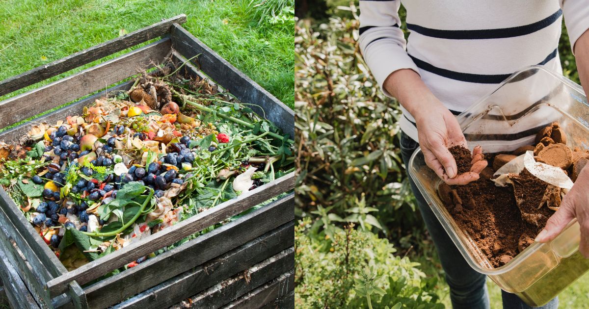 Home Composting Guide You Need To Know About