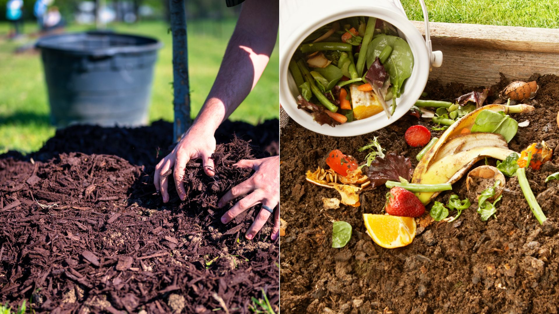Improve Your Garden Soil With These 5 Simple Methods