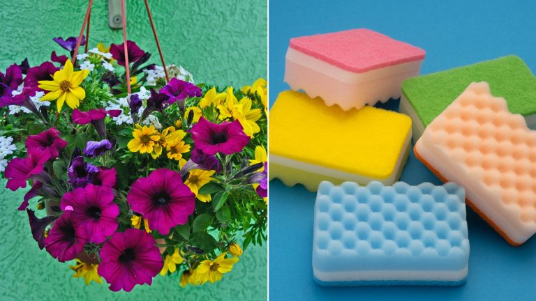 stuffing flowers with kitchen sponges