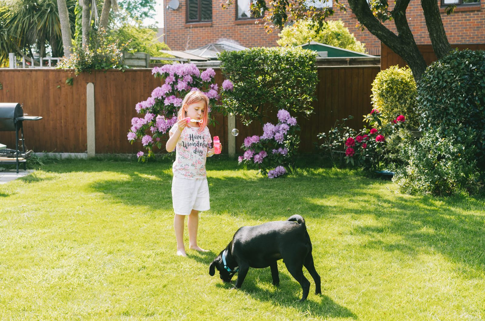 Little girl blowing soap bubbles and playing with the dog in the garden