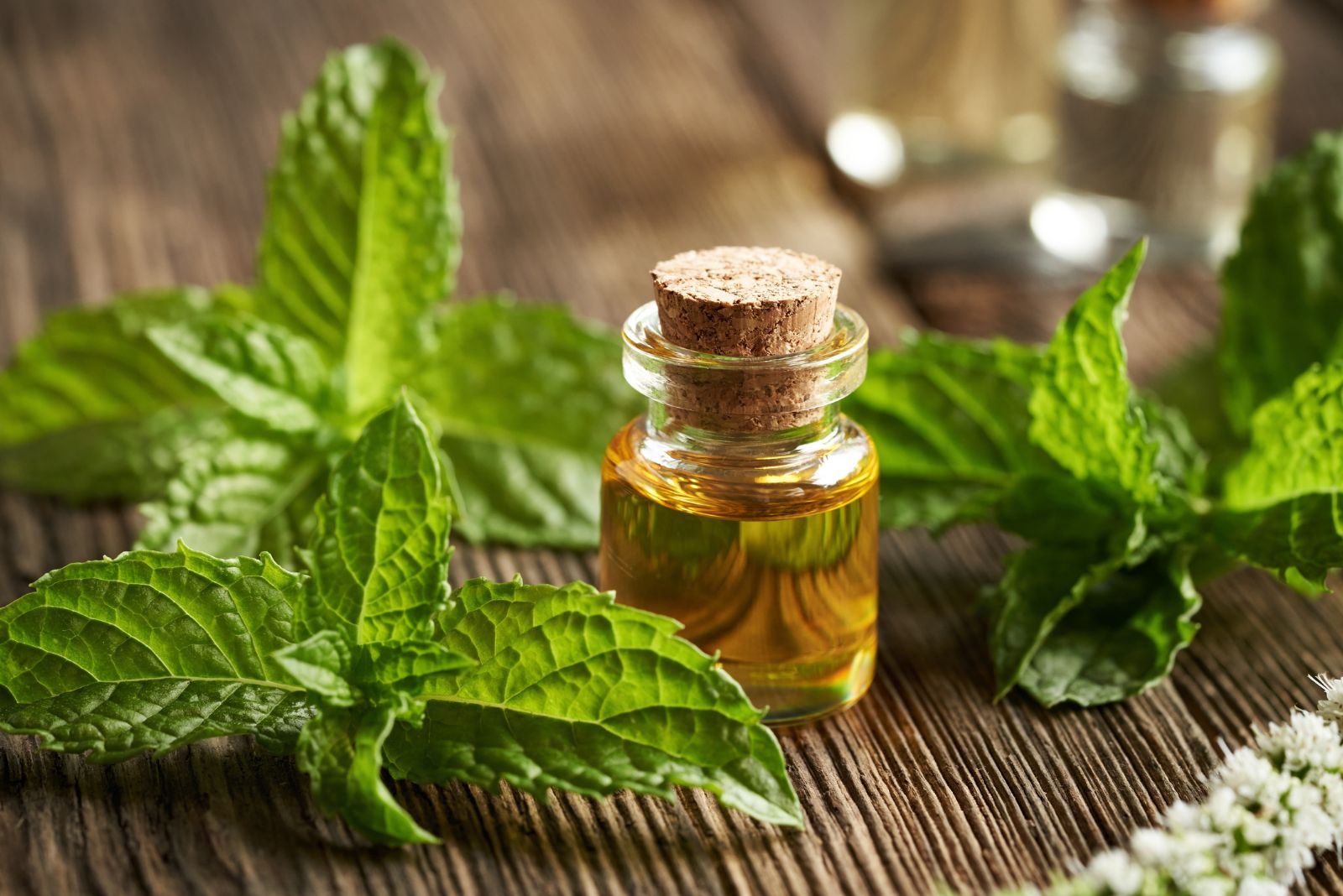 Peppermint Oil