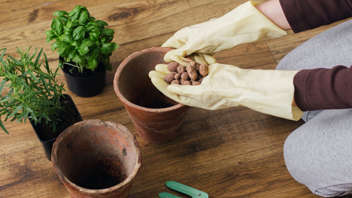 Should You Add Rocks And Gravel To The Bottom Of Planters?