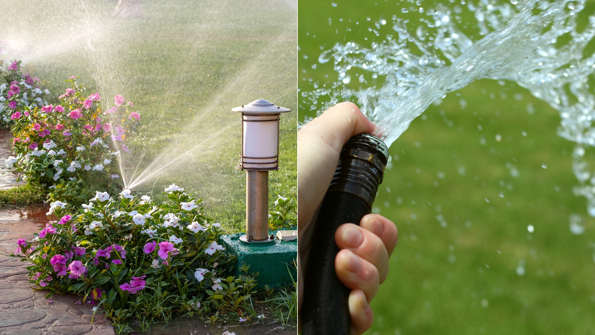 photo of a sprinkler and a hose