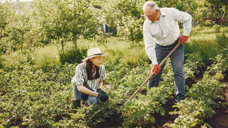 woman and man gardening