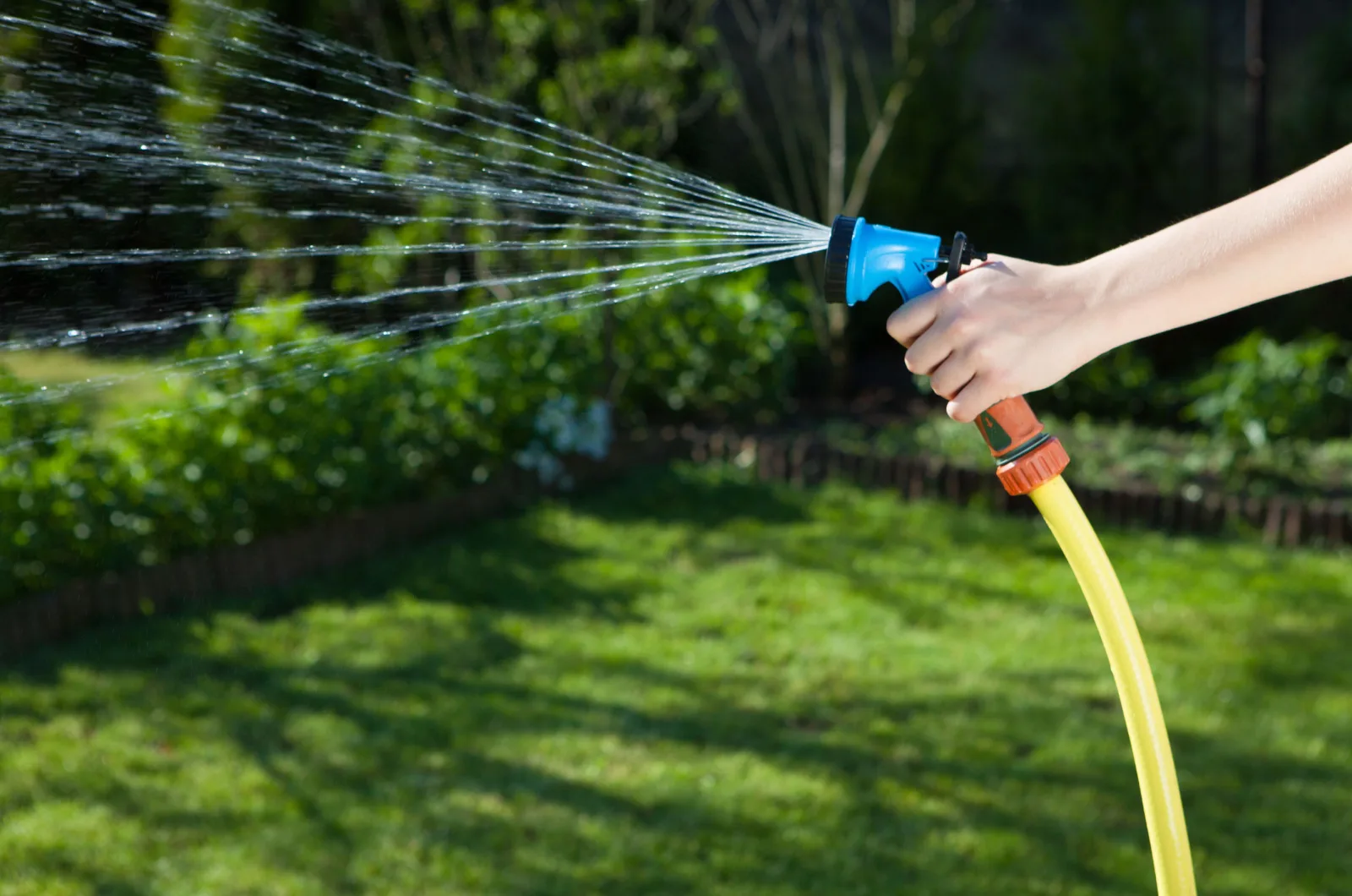 Sprinkler vs. Hose: What Is The Better Option?