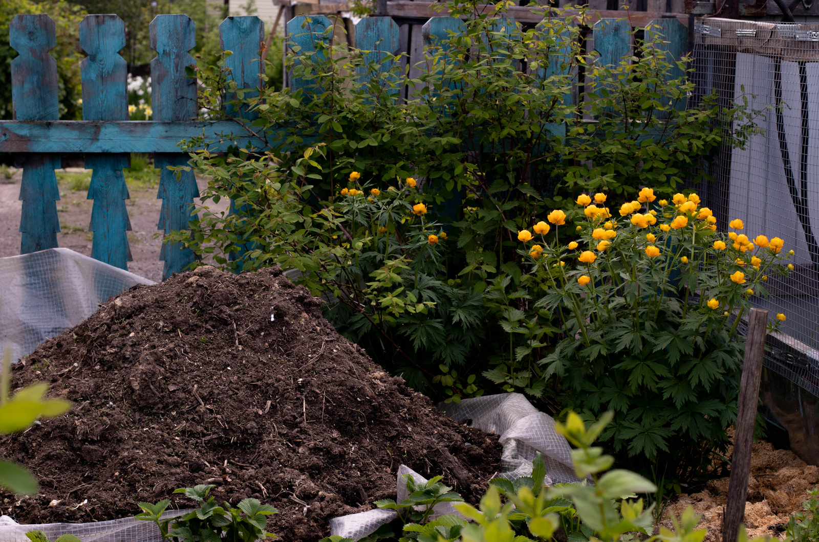 a pile of homemade compost prepared for gardening