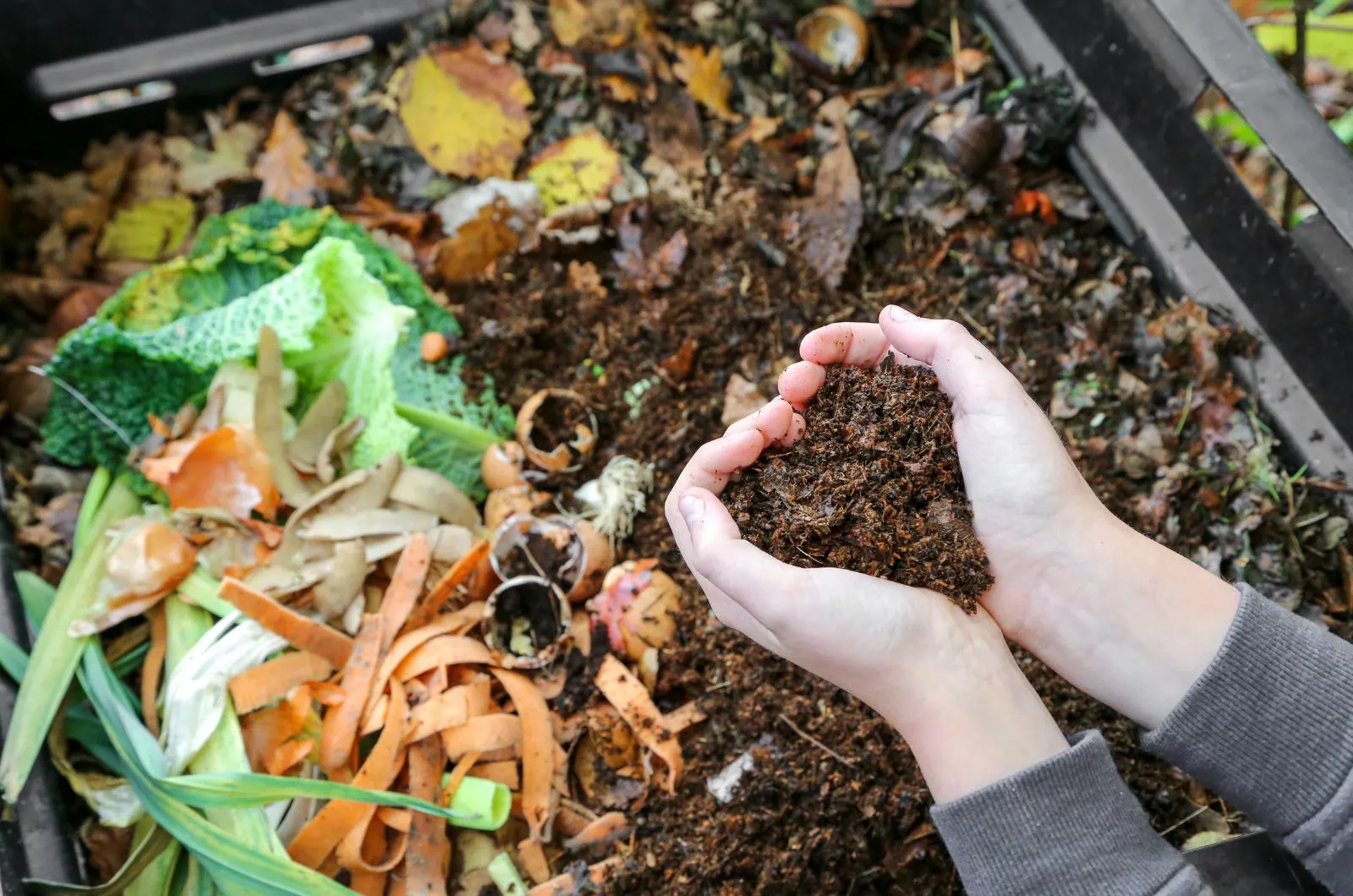 compost with heart shape