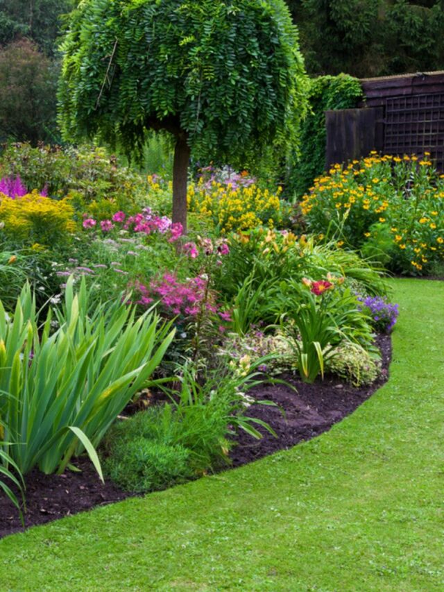 Green lawn in a colorful landscaped formal garden