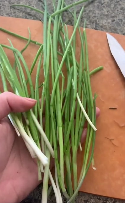 cutting green onion