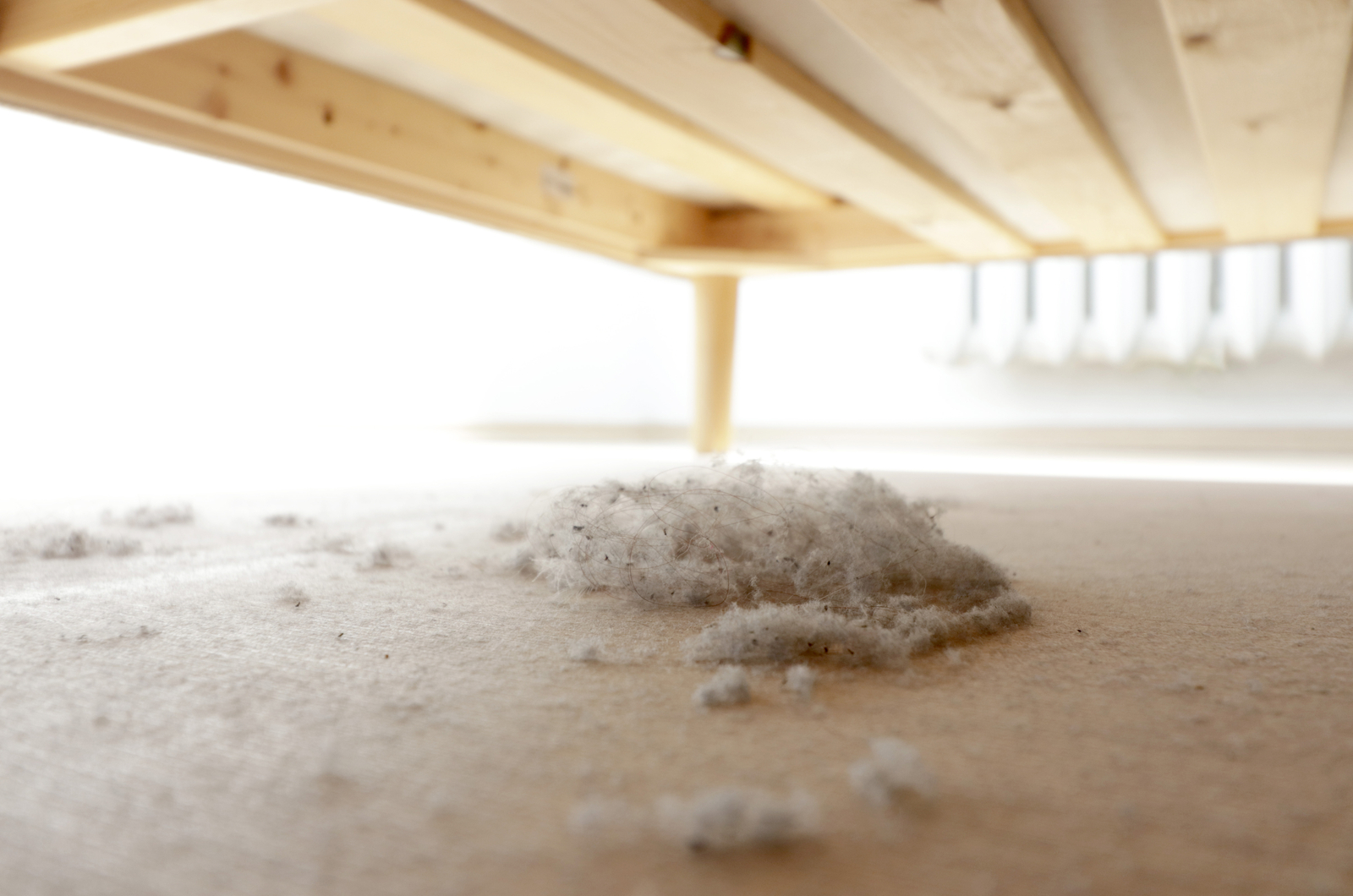 dust clumps under the bed