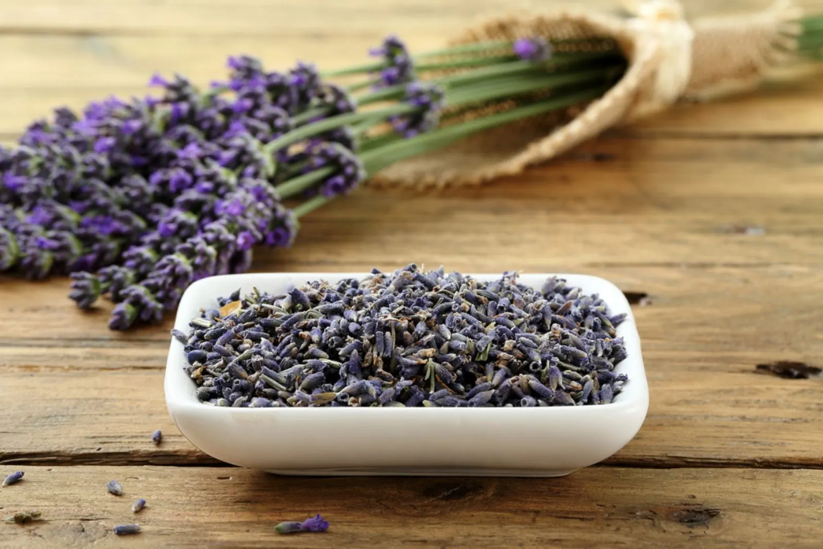 fresh and dried lavender flowers