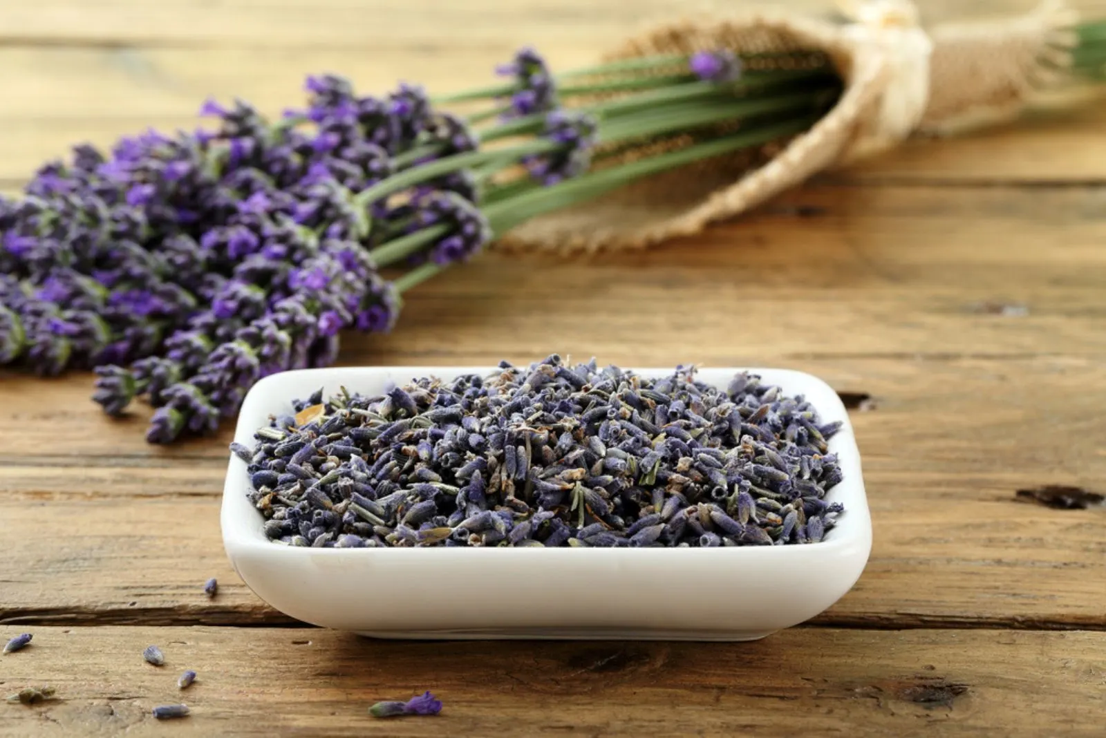 Fresh And Dried Lavender Flowers .webp