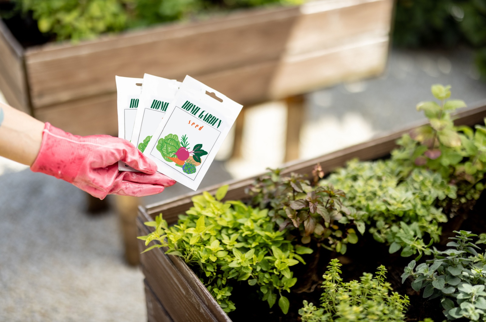 hand holding packs of seeds