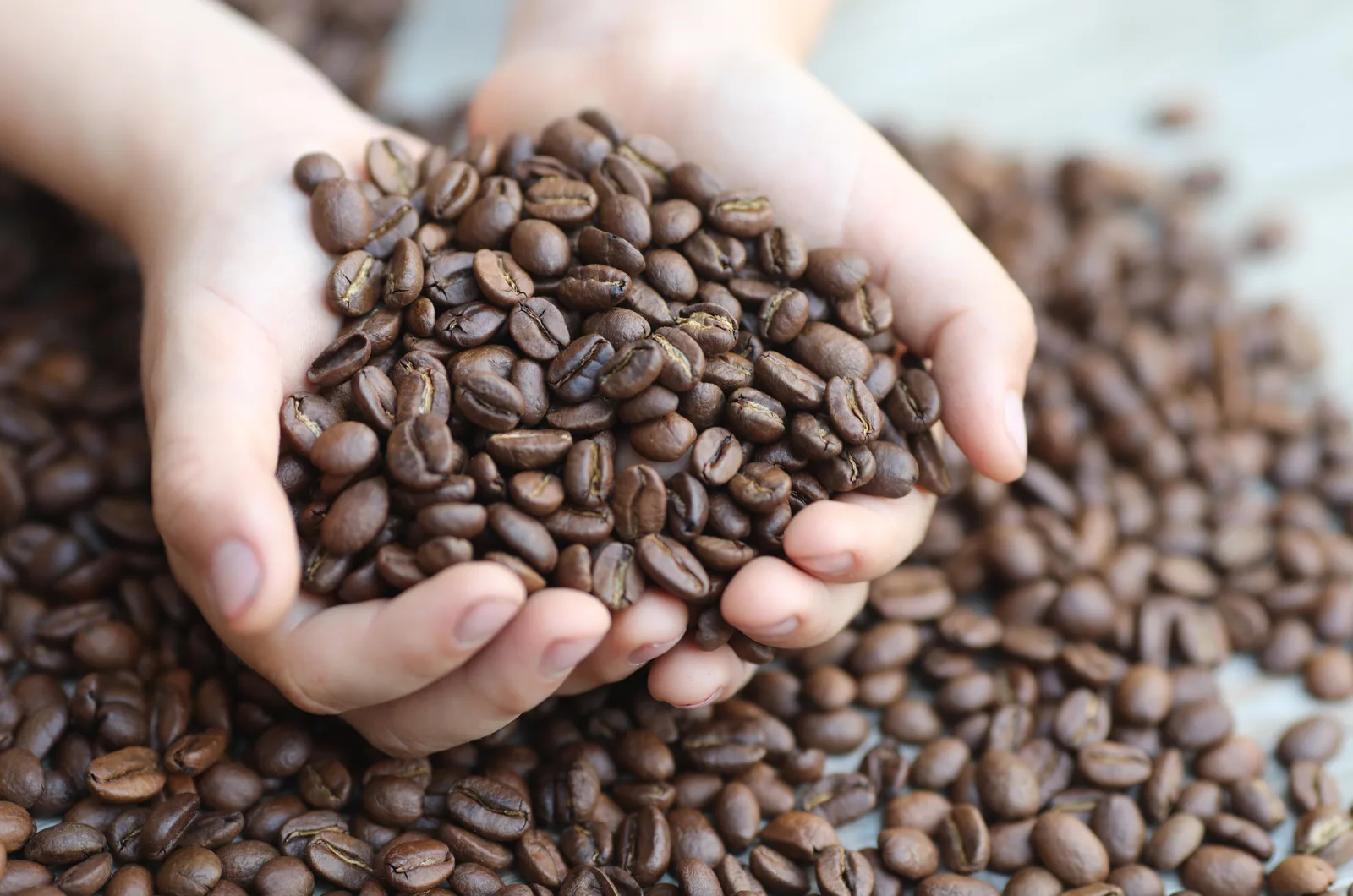 hands full of coffee grounds and coffee grounds covering the table