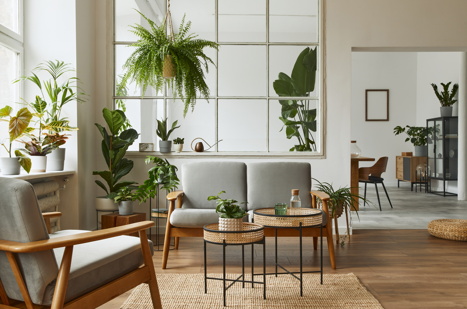 livingroom full of indoor plants