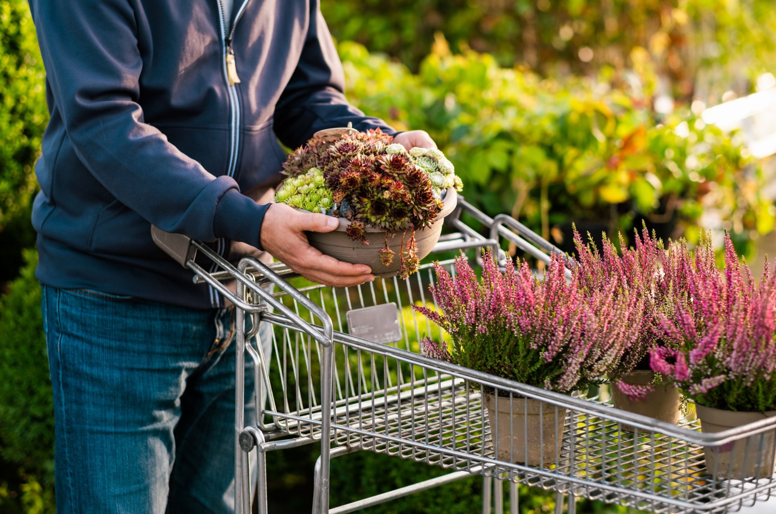 man buying plants