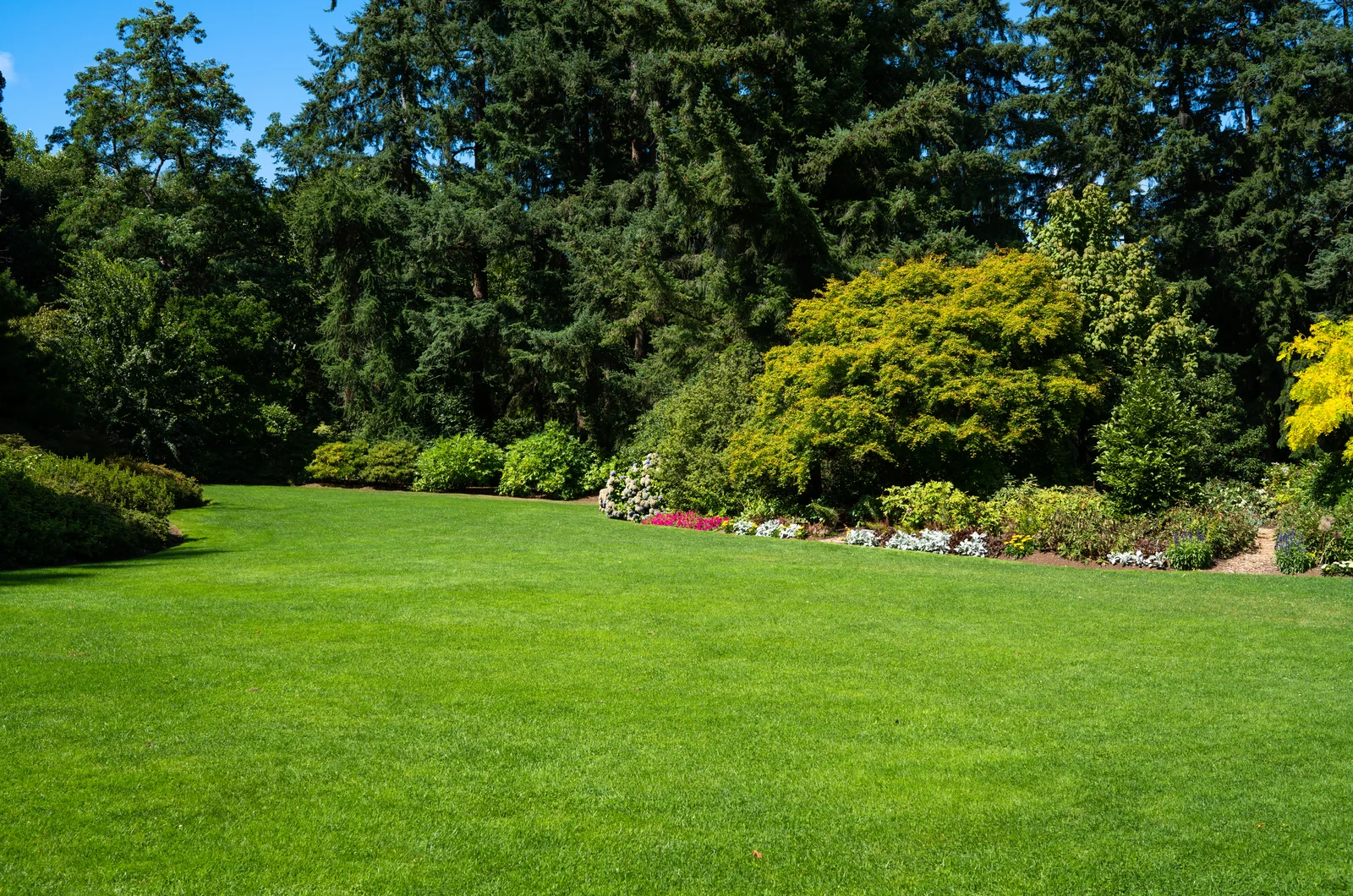 photo of green lawn