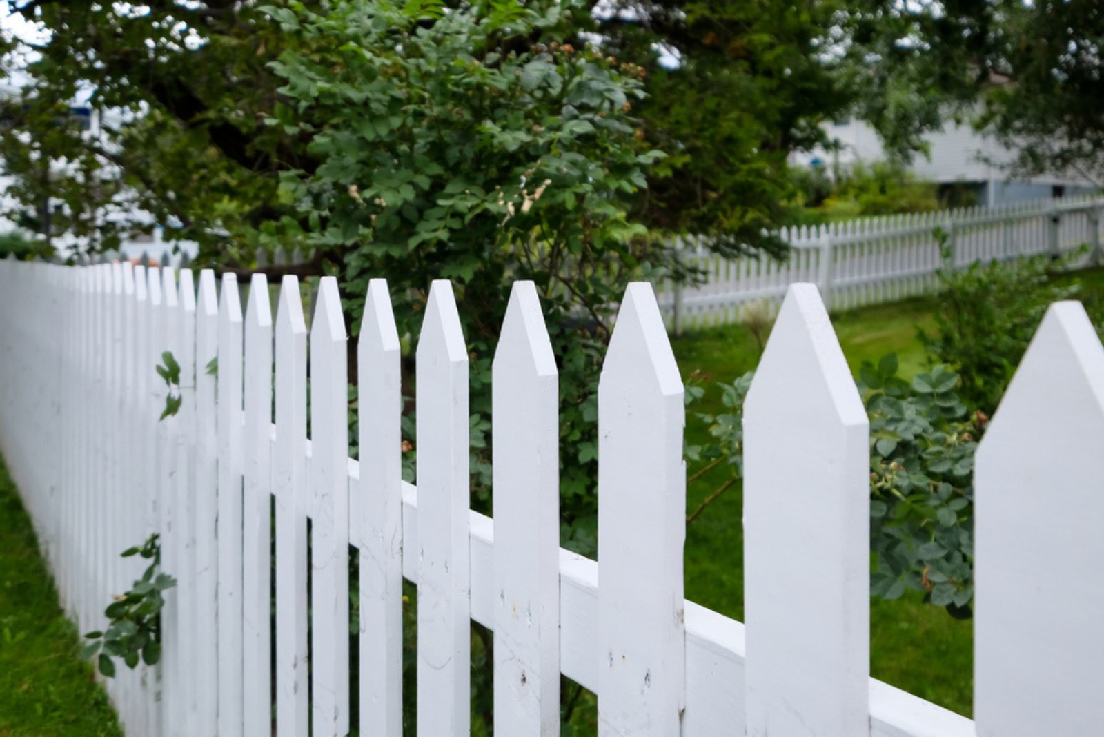 tall fence in garden