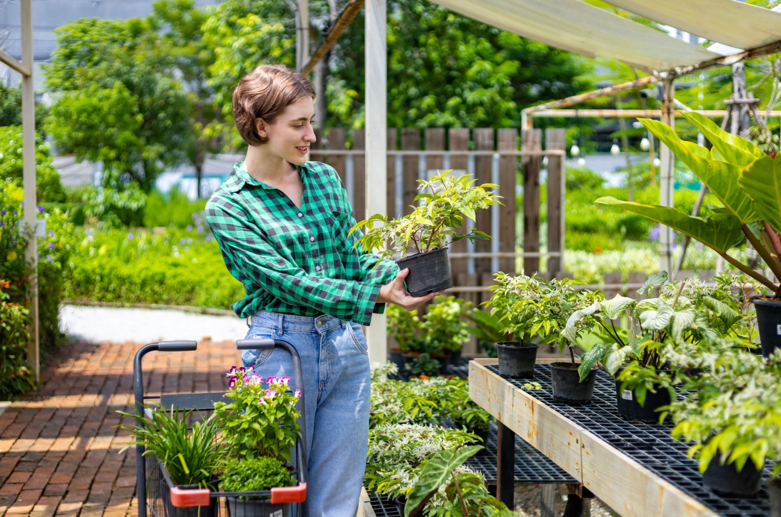 woman choosing plants