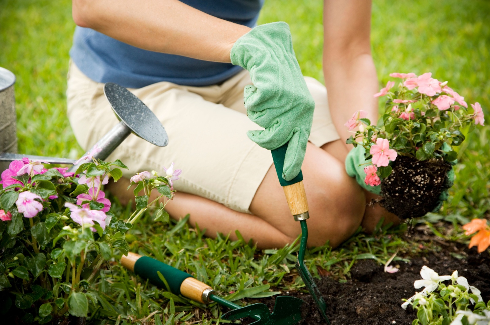 woman planting flowers