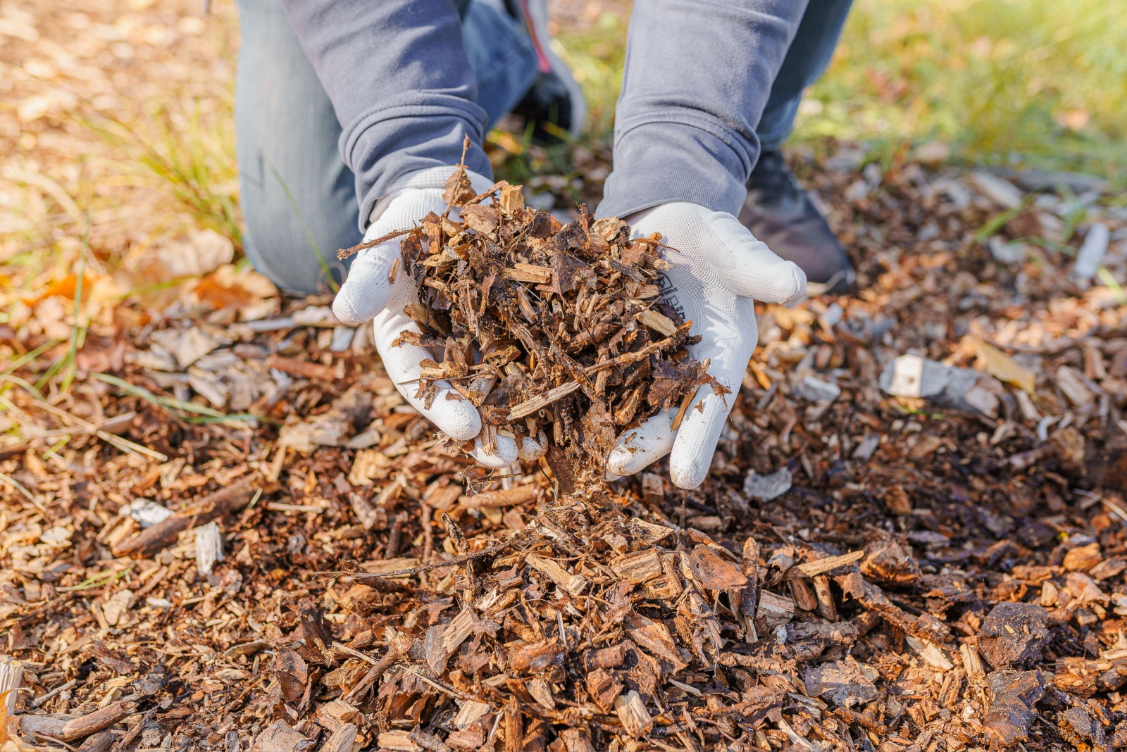 wood chips