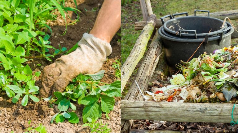 composter and woman in the garden