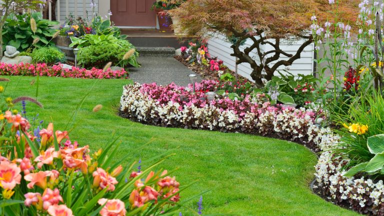 5 Easy Steps For Designing A Natural Garden