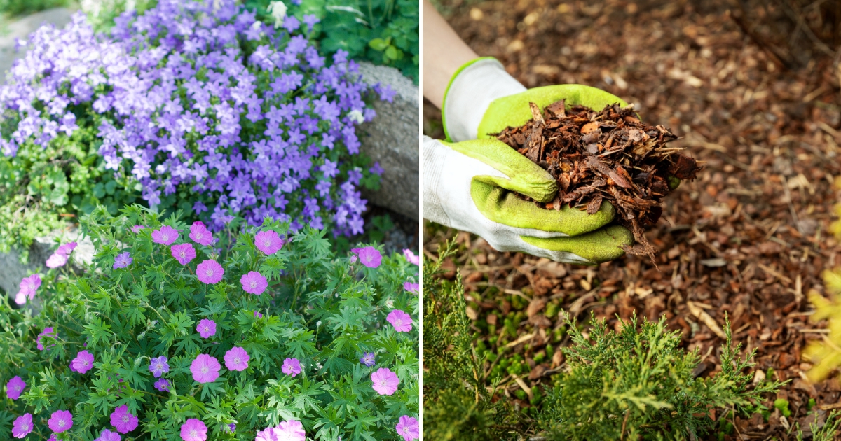 5 Ways To Keep Weeds Out Of Flower Beds And Reduce Garden Chores
