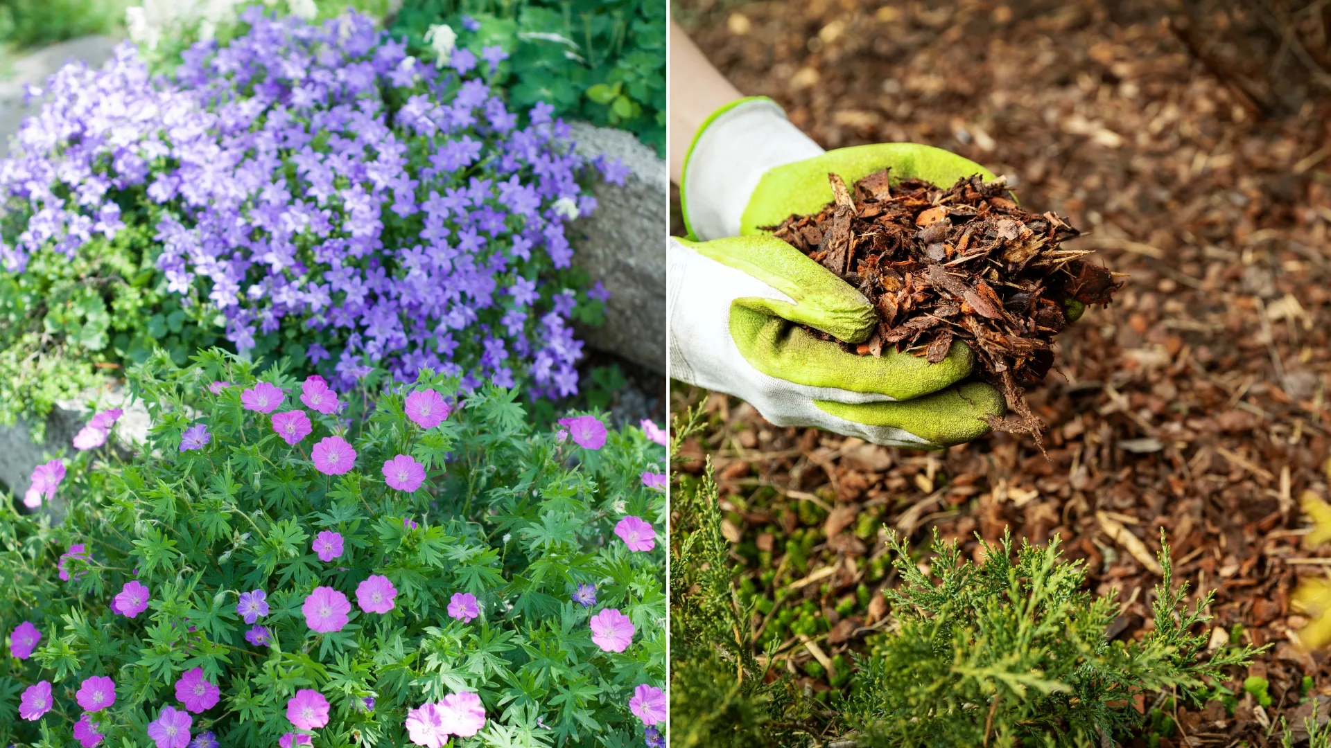 how to keep weeds out of flower beds