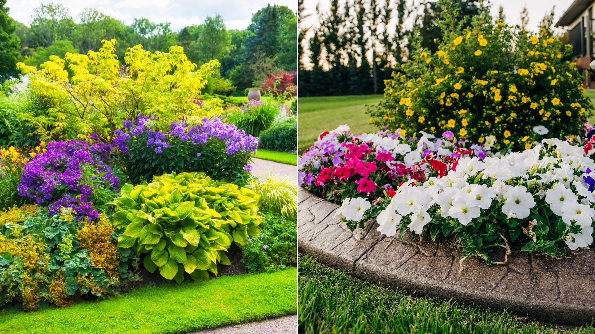 7 Common Mistakes That Are Ruining Your Flower Beds