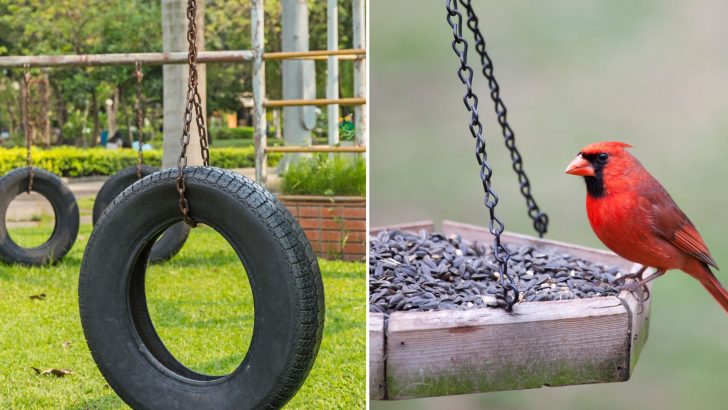 9 Things In Your Yard That Attract Snakes