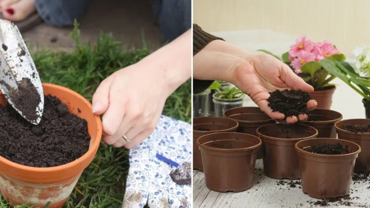 Best Ways To Reuse And Revitalize Old Potting Soil