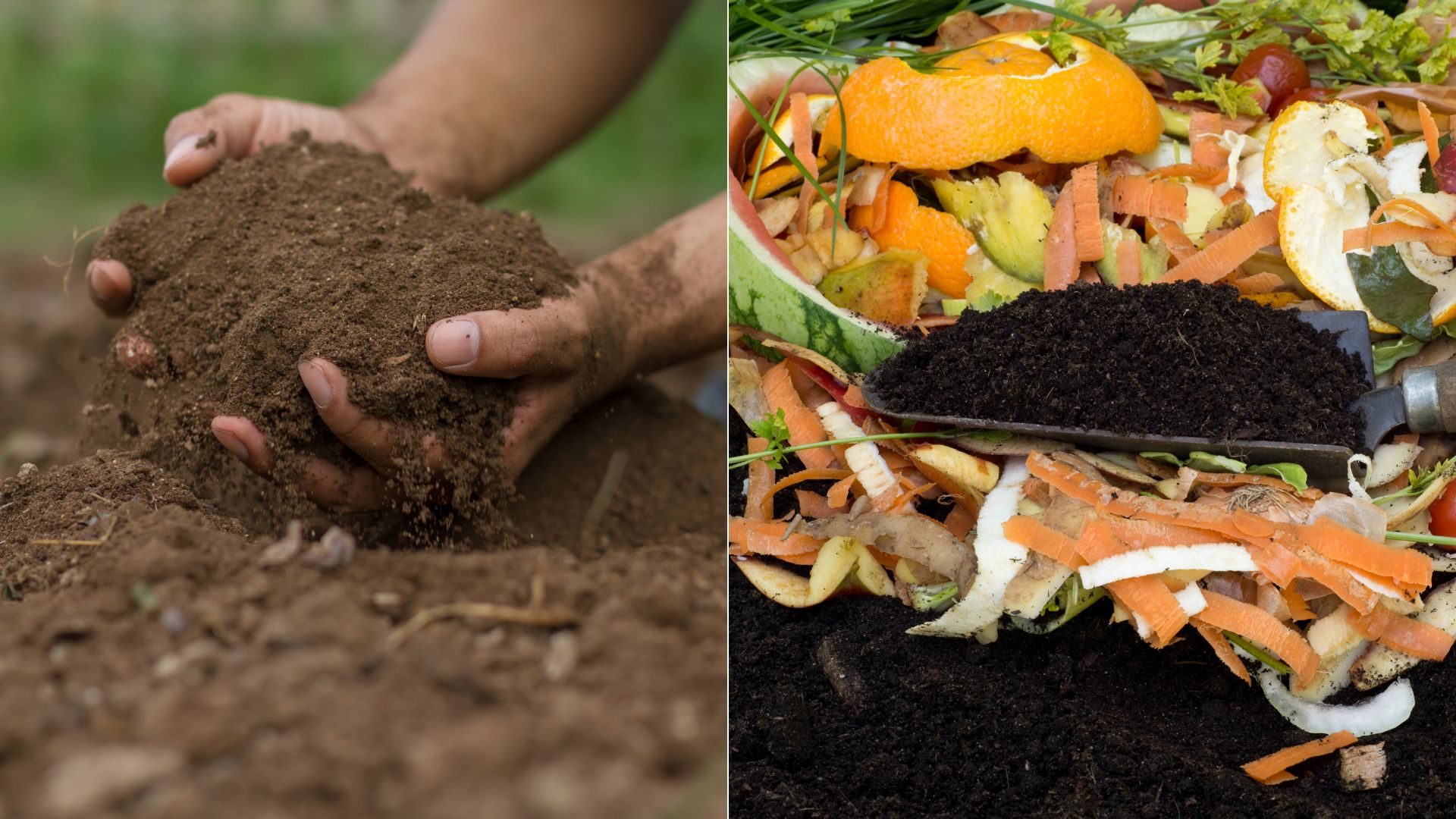 How To Fix Exhausted Soil That Affects Food Quality