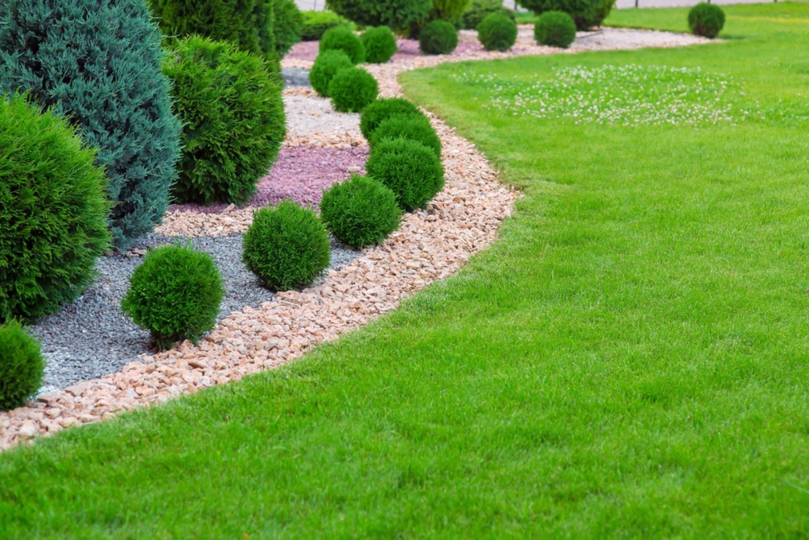 landscape bed of garden