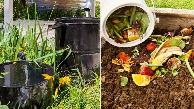 photo of pot and kitchen scraps