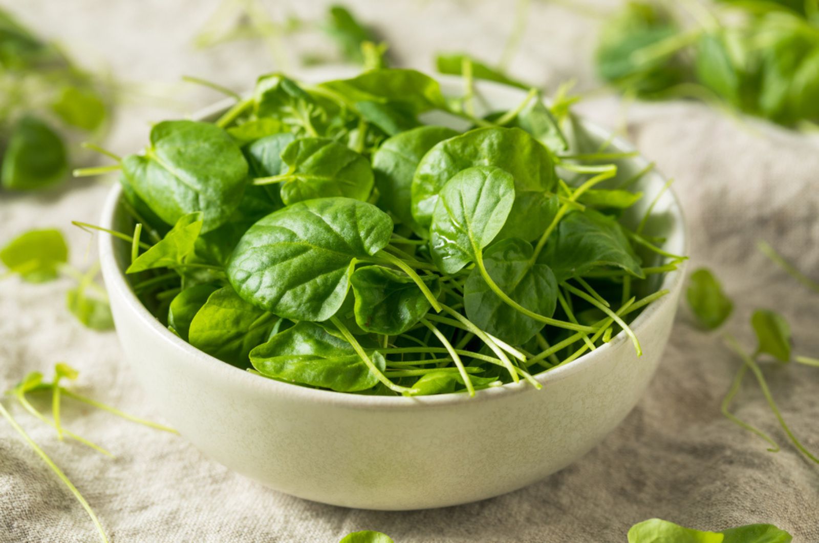 Watercress in the bowl