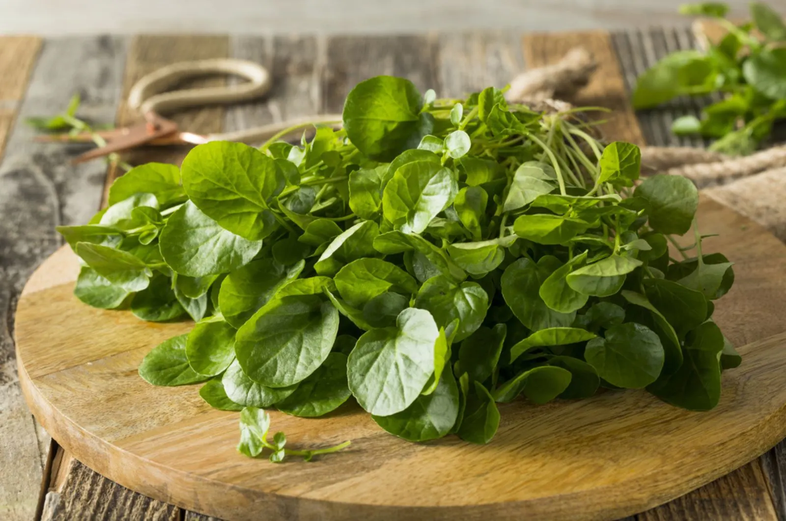 Watercress on the wooden board