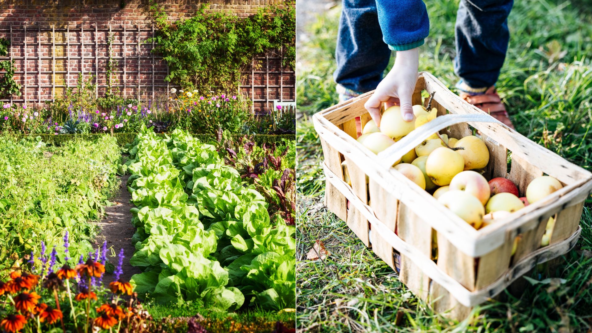 What Is Biodynamic Gardening And How Do You Start It?