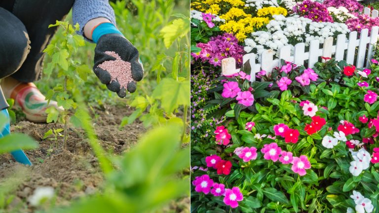 adding phosphorus to the soil