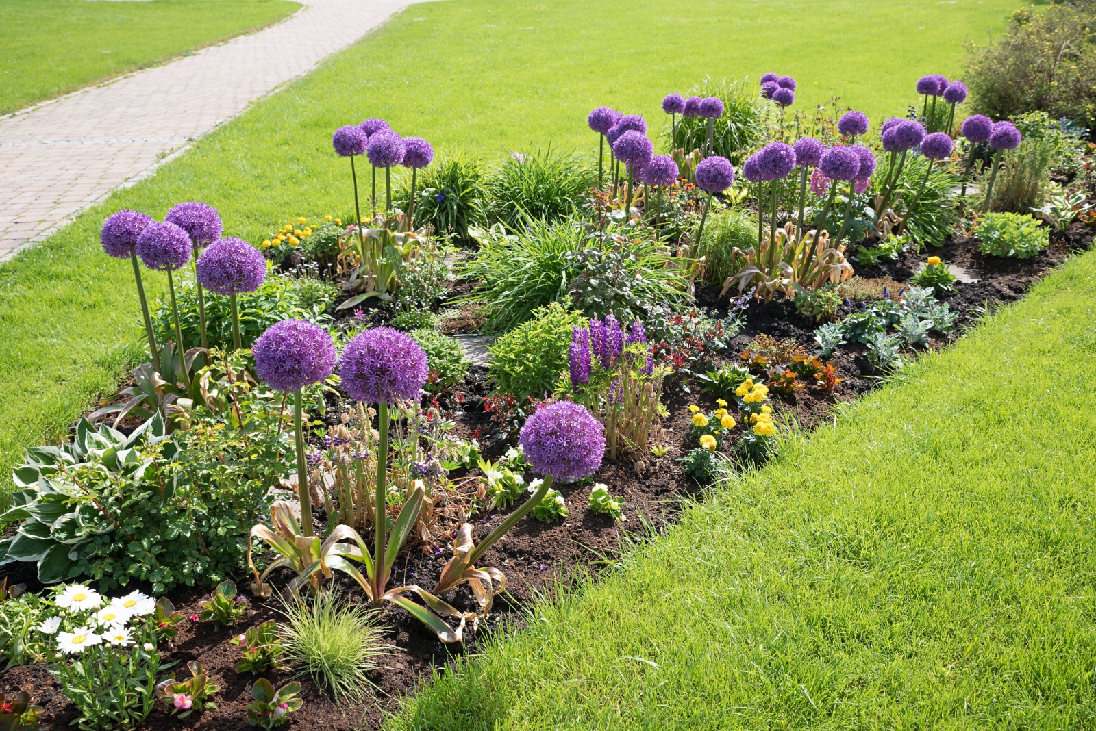 flowers in flower bed