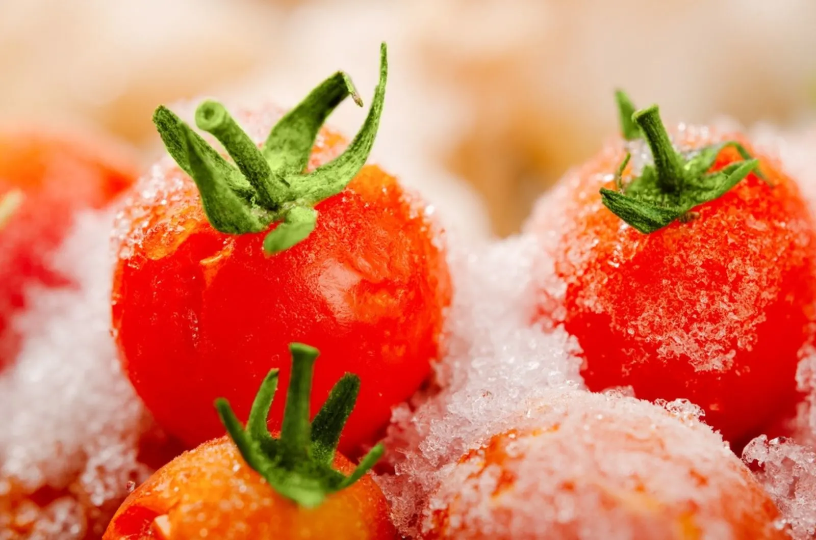 frozen vegetables cherry tomatoes 