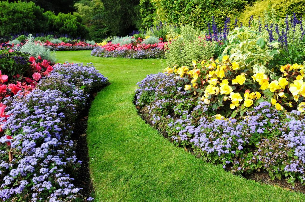 7 Common Mistakes That Are Ruining Your Flower Beds