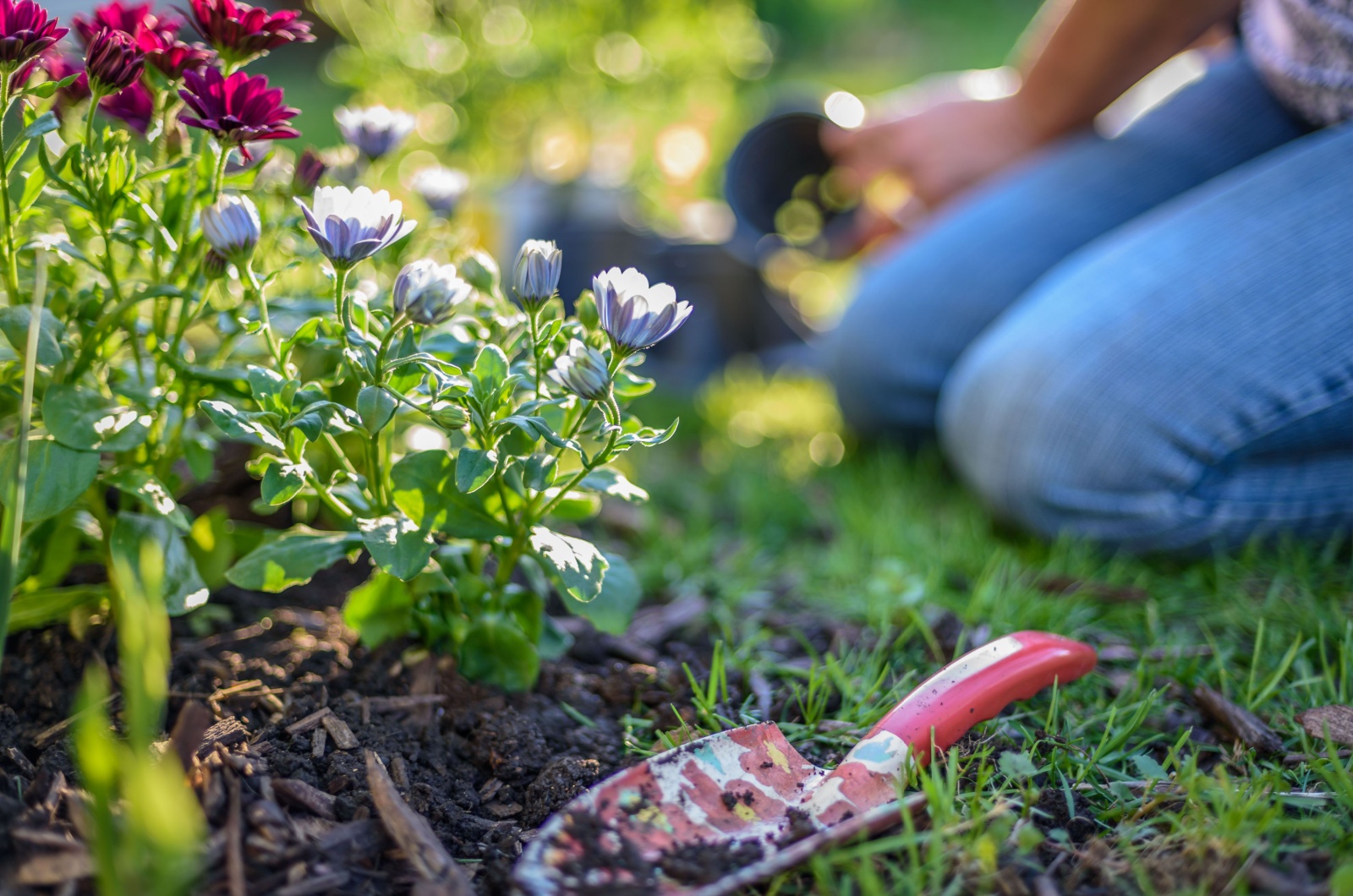 planting flowers