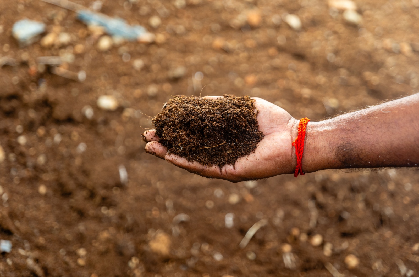 soil in hand