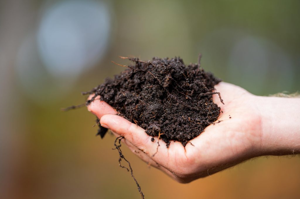 Best Ways To Reuse And Revitalize Old Potting Soil