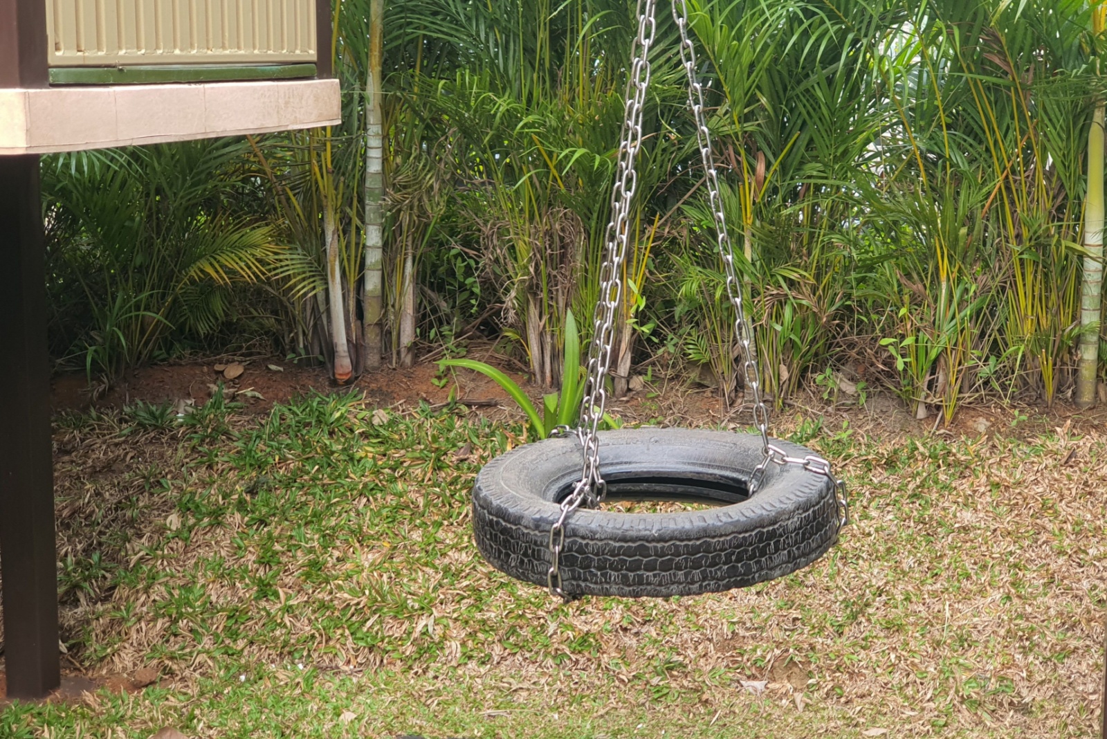 tire swing